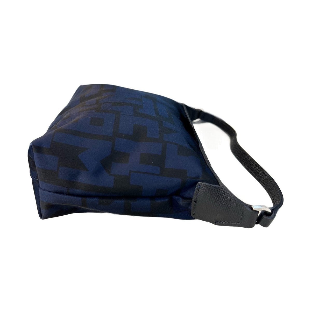 Longchamp Shoulder & Hand Bag