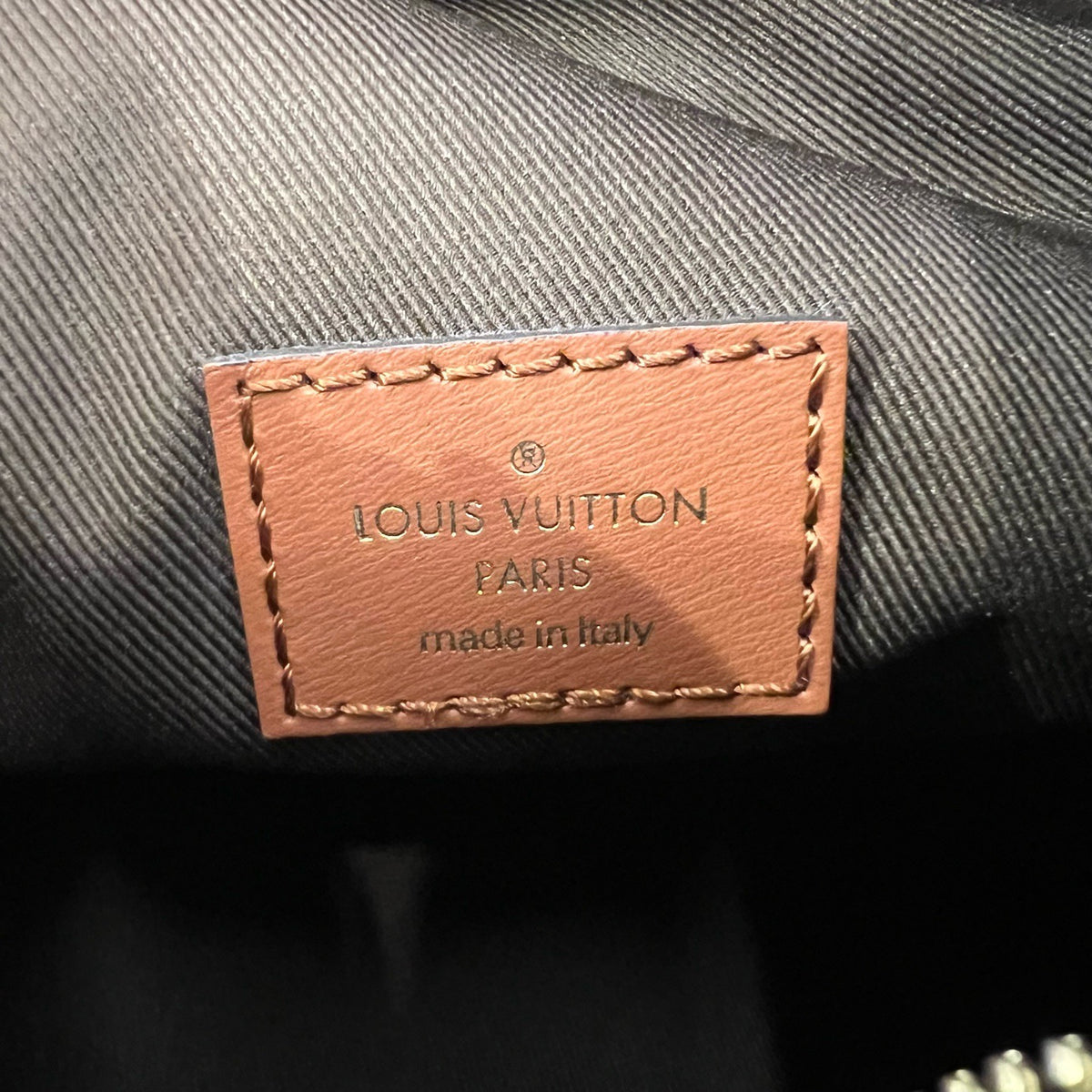 Louis Vuitton Loop Hobo Crossbody Bag, Brown Coated Canvas, Chip Version