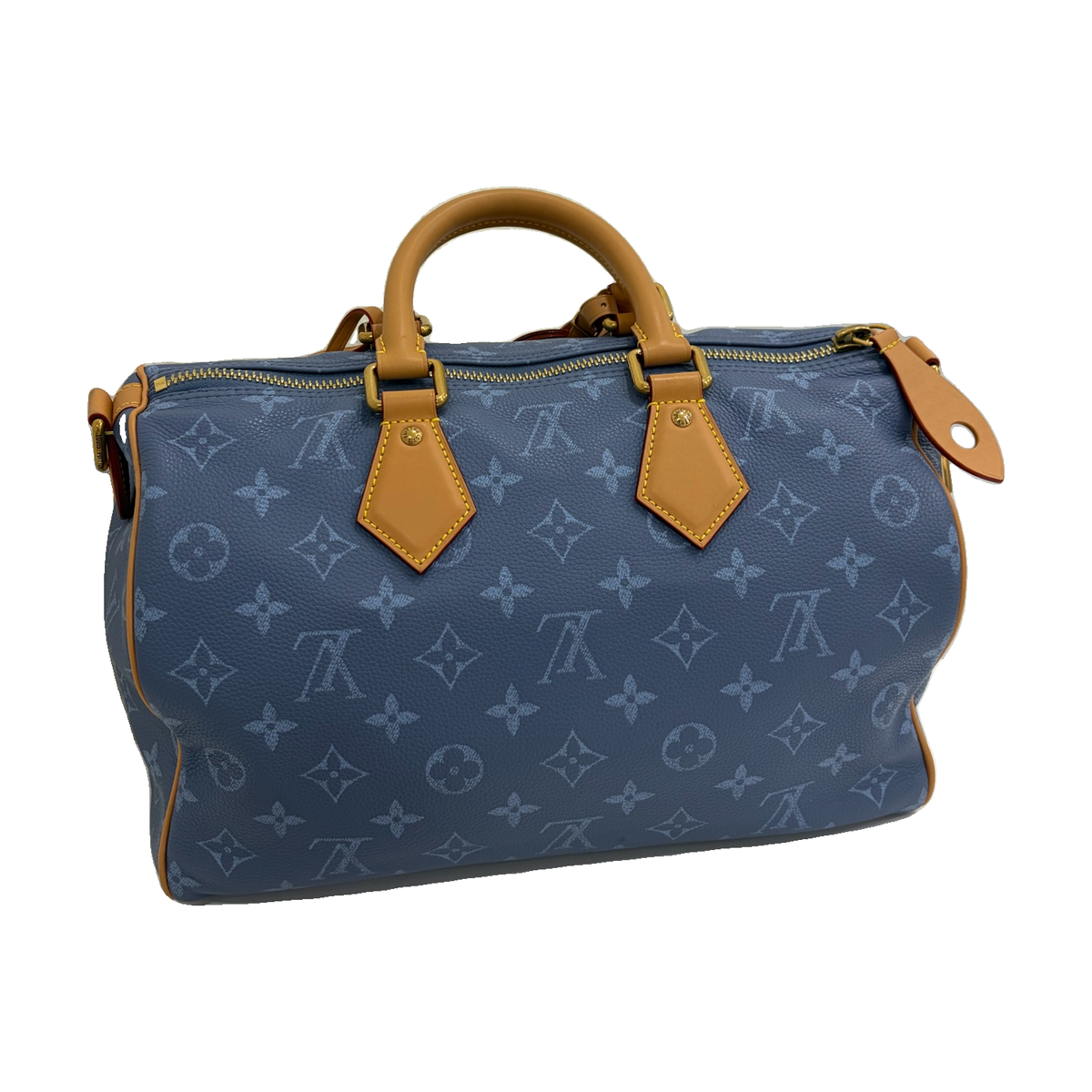 Louis Vuitton Speedy 30, Blue Monogram
